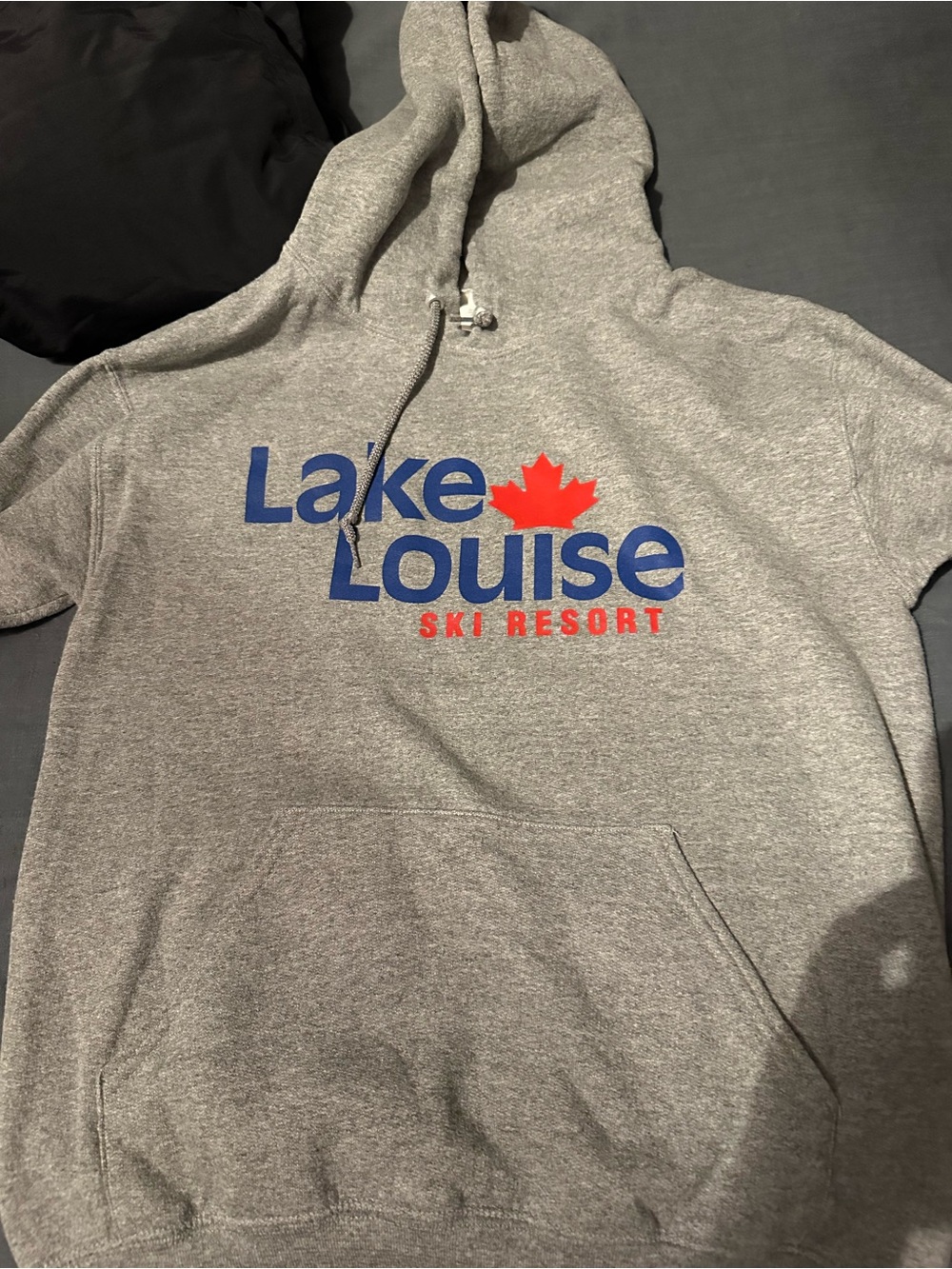 Lake Louise Ski Resort Grey Hoodie with Red & Blue Logo